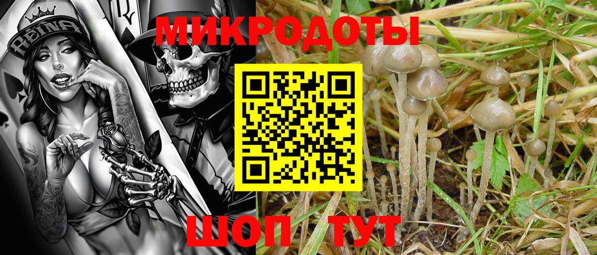 Галлюциногенные грибы Magic Shrooms  Вход с VPN  Иркутск 